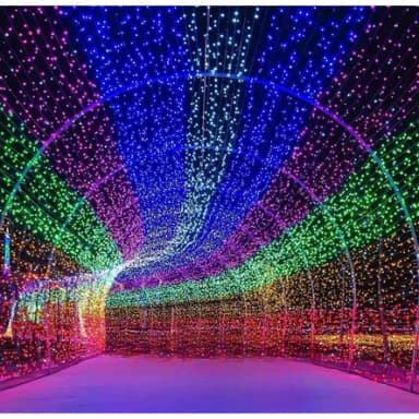 Pisca Pisca 10M 100 Leds 127/220V 8 Funções Fio Transparente Luz De Natal Forte Iluminação